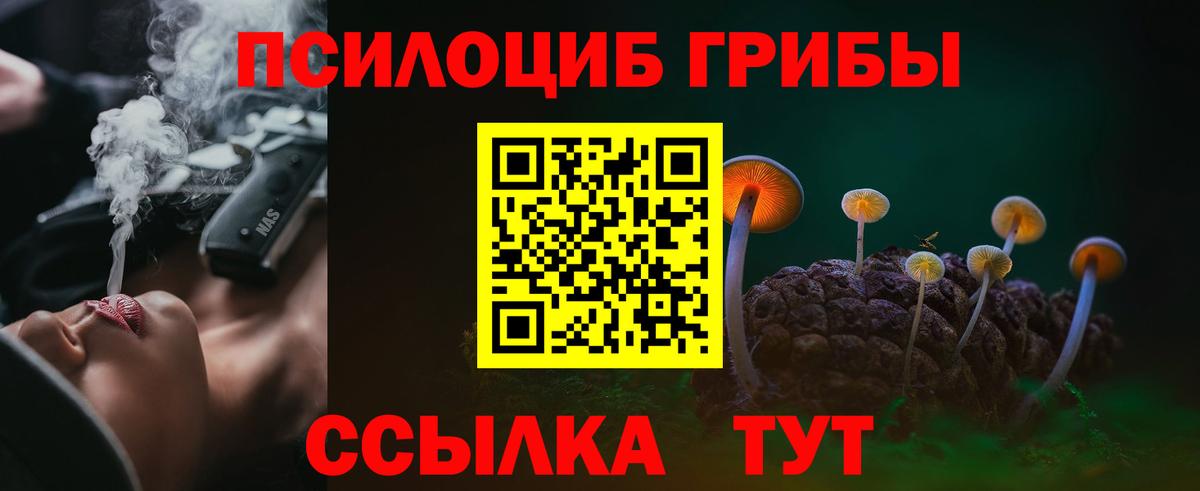 купить наркотик  Вход с VPN  Сердобск  Галлюциногенные грибы Cubensis 